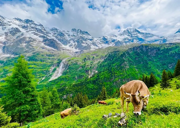 Rosa 3* Lauterbrunnen