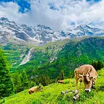 Rosa 3* Lauterbrunnen