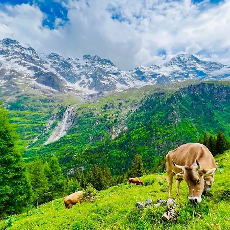 Rosa 3* Lauterbrunnen